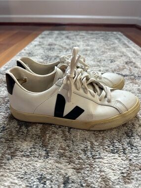Classic minimal veja trainers